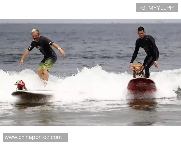 深圳飞盘队在马拉松大满贯中的比赛经验与表现分析